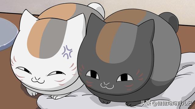 夏目友人帐猫咪老师（夏目友人帐猫咪老师是什么品种的猫）