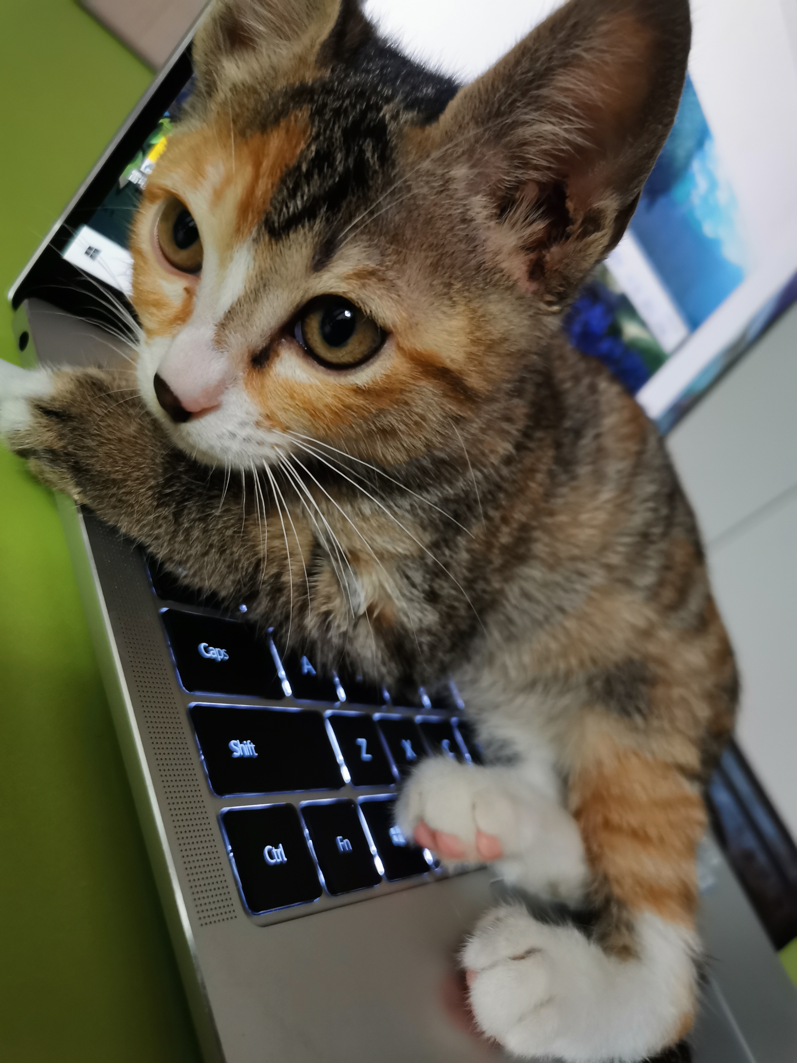 吓人视频突然出现鬼（吓人视频突然出现鬼面10秒）