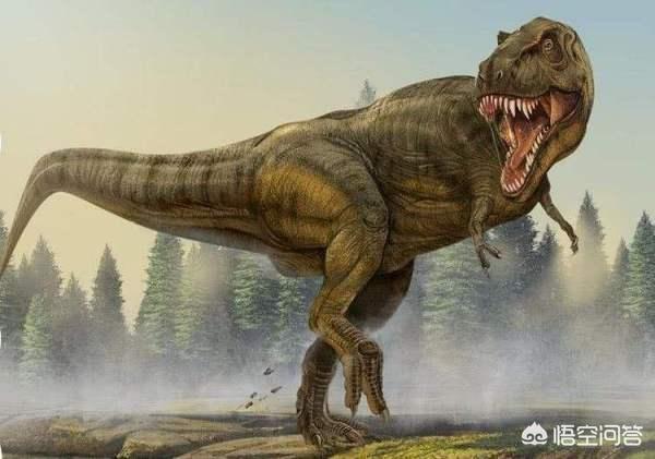 恐龙的种类（恐龙的种类和特点介绍）