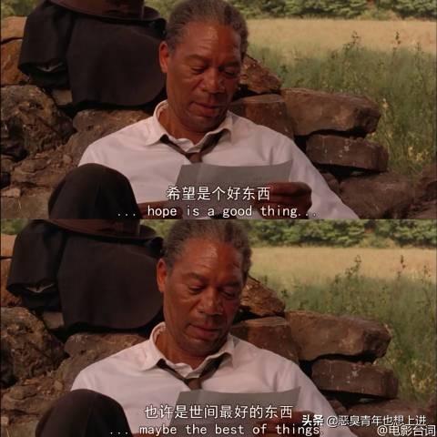 哪个电影最好看（哪个电影最好看2024）