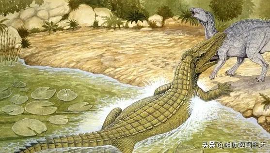 史前四大鳄鱼排名（史前巨鳄四）