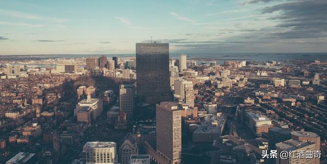 95成都僵尸恐怖图片（95成都僵尸案图片）