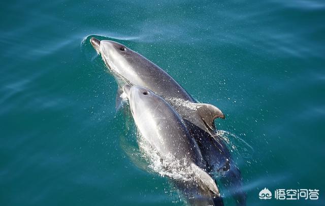十一旅游排行榜（十一旅游景点排行榜）