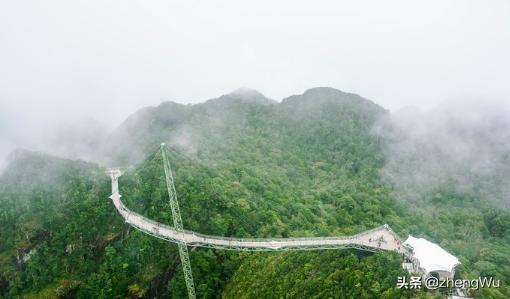 热带雨林气候（热带雨林气候的植被类型）