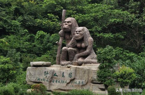 神农架野人之谜纪录片（神农架野人之谜纪录片在线观看）