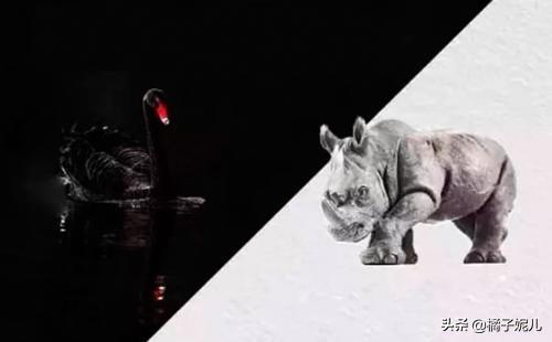 灰犀牛事件和黑天鹅事件的区别