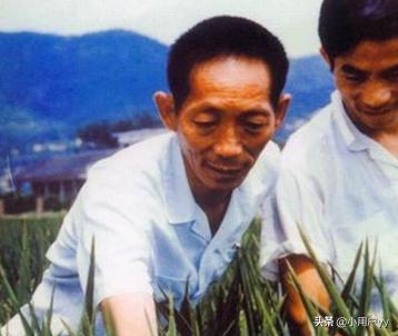 袁隆平的事迹作文300字（袁隆平事迹100字作文）