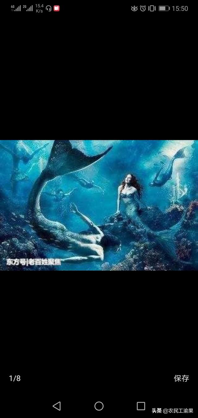 真正的美人鱼视频（真正的美人鱼视频下载）