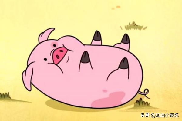 讲故事爱情睡前故事（爱情故事睡前故事语音）