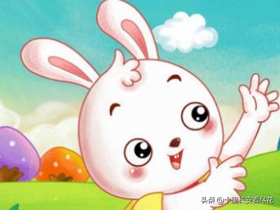 森林里的小动物故事（森林里的小动物故事在线听）