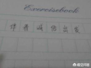 关于诚信的议论文800字高中（有关于诚信的议论文800字）