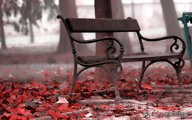 真实的感人的爱情故事（一篇感人泪下的真实爱情故事）