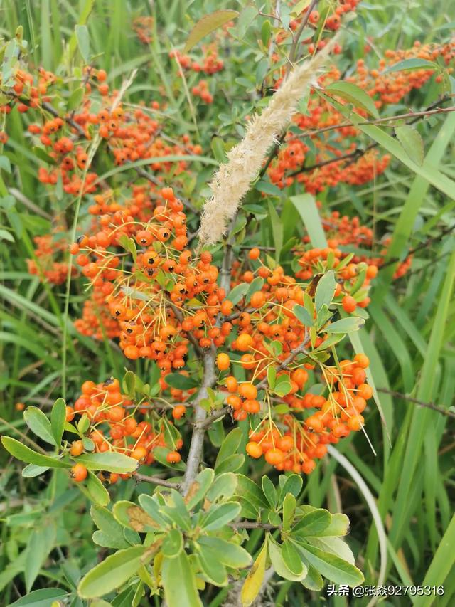 关于教师的故事典型（关于教师的故事大全）