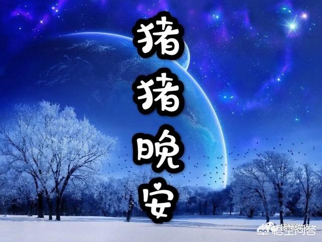 女友的睡前故事（女友的睡前故事大全）