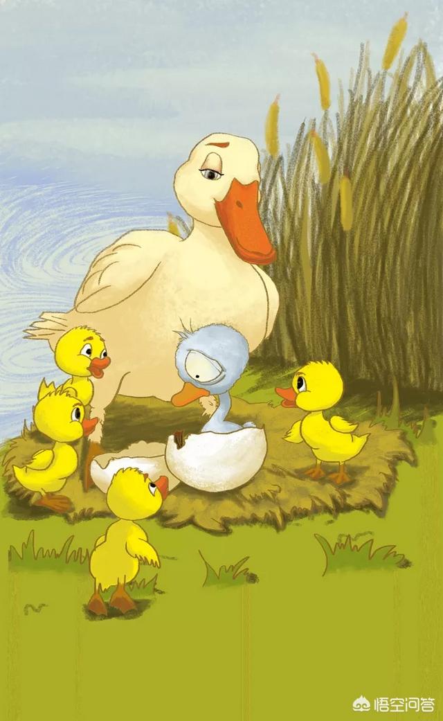 丑小鸭英文30字带翻译（丑小鸭英文版故事简短带翻译全文）