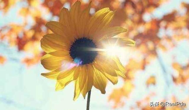 晨会励志故事分享感悟（晨会励志的故事）