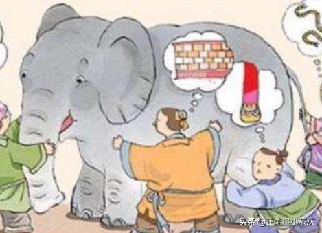 盲人摸象的故事告诉我们（盲人摸象的故事告诉我们看问题要有自己的判断）