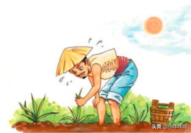 寓言拔苗助长的故事（寓言拔苗助长的道理是什么呢）