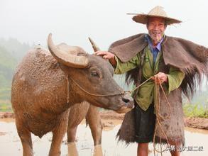 身边的教育故事（身边的教育小故事）