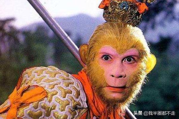 有关孙悟空的故事（关于孙悟空的故事5个）