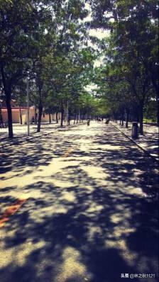 校园恐怖小说短篇（校园恐怖小说长篇）