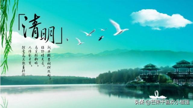 关于清明节的资料50字（关于清明节的资料50字左右）