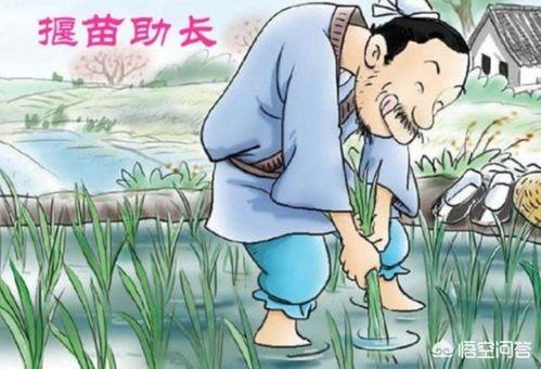 揠苗助长告诉我们的道理是（揠苗助长告诉我们的道理是不顾什么办事）