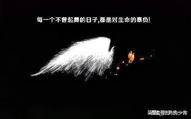 励志语录经典短句名人名言（励志的句子经典语句名人名言）