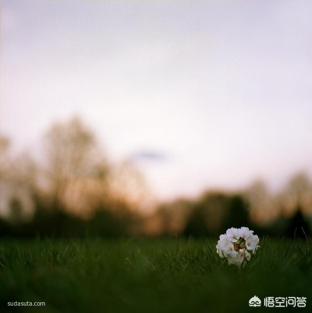 寓言故事大全500字（寓言故事有哪些500字左右）