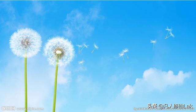 心灵鸡汤的作用（心灵鸡汤的作用意义）